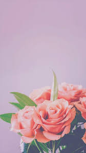 21 Ideas Live Wallpaper Iphone 7 Plus In 2020 Live Wallpaper Iphone 7 Flower Wallpaper Iphone 6s Wallpaper