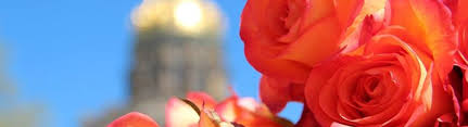 Hours may change under current circumstances Florist Distributing Inc Davenport Ia Alignable