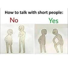 It may be awkward to find a short guy with his amazon of a girlfriend, but one of my best guy friends is a small dude too, and his girlfriend is a fucki. How To Talk To Short People Know Your Meme