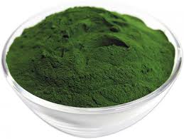 Chlorophyll: Best Vegan & Gluten-Free Powders to Buy in the U.S.