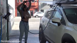 @Peridotsplmtrees video Tweet