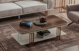 Şık ve renkli zigon sehpa modelleri arasından seçim yapabilirsiniz. Sehpa Modelleri Ve Fiyatlari Engince Mobilya