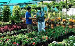 Buy gardening supplies online india. The Business Of Gardening Continues To Bloom Across India Amid The Pandemic The Hindu