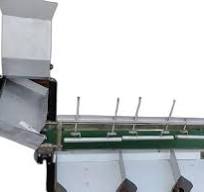 Automatic Coconut Size Grading Machine, 300 kg