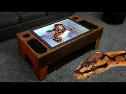 New custom enclosure i ve built aussie pythons snakes snake reptile diy. Snakes In A Coffee Table Youtube