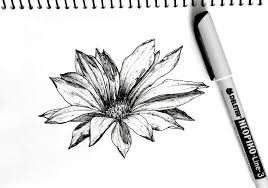 3.8 out of 5 stars. How To Draw Any Flower With Pen Ink Ran Art Blog