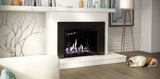 Modern gas fireplace inserts can fit right into the space of your old masonry wood burning fireplace. Gas Fireplaces We Love Fire