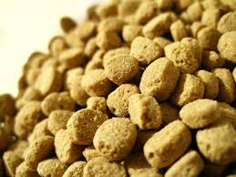 Des Insectes Dans Leurs Croquettes Wanimoveto