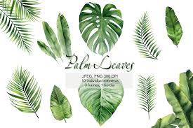 Download Palm Leaves Watercolor Greenery Watercolor Frames 1114406 Illustrations Design Bundles