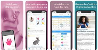 Download best free pregnancy app for android and ios. Best Free Pregnancy Apps For Android And Iphone In 2020