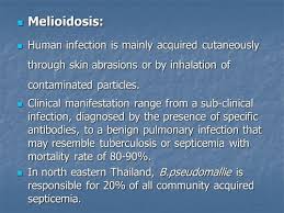 Melioidosis treatment usually starts with an iv antimicrobial infusion that lasts for a minimum of two weeks, the cdc says. Alert Sounded Over Deadly Melioidosis