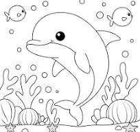53+ Thousand Dolphin Colour In Royalty-Free Images, Stock Photos & Pictures  | Shutterstock
