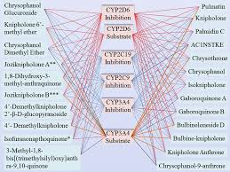 Hese are teins and inactivate enzymes. Bulbine Frutescens Phytochemicals As A Promising Anti Cancer Drug Discovery Source A Computational Study Springerlink