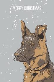 Our favorite pet portraits show the true personality of your pet. Draw A Pet Portrait For You By Balaeva Fiverr