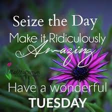 Maybe you would like to learn more about one of these? Pin By Stephanie Mitchell On Good Morning Sayings Tuesday Quotes Good Morning Happy Tuesday Quotes Happy Tuesday Pictures