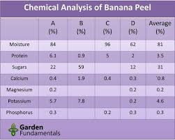 One banana shake fertilizer order coming up! The Magical Power Of Banana Peels In The Garden Or Not Garden Myths