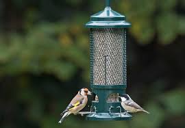 Inspiration for your home & garden. The Best Bird Feeders To Buy Ahead Of This Summer