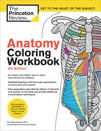 Download Anatomy Coloring Workbook 4th Edition By The Princeton Review Edward Alcamo 9780451487872 Penguinrandomhouse Com Books