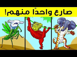 الموقع الرسمي ايجي بست القديم egybest filme مشاهدة و تحميل جديد الافلام اون لاين موقع ايجي بيست الاصلي افلام مسلسلات مترجمة egybest مدبلجة ايجي بست بجودة. ÙÙŠÙ„Ù… Need For Speed Ø§ÙŠØ¬ÙŠ Ø¨Ø³Øª Ù…Ø´Ø§Ù‡Ø¯Ø© Ø§Ù„ÙÙŠÙ„Ù… Ø¹Ù„Ù‰ Ø§Ù„Ø¥Ù†ØªØ±Ù†Øª