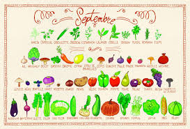 Calendrier Legume Saison Eat Me Veggie