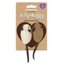 If you're still able, i'd like ediblelandscapingsc said: Rosewood Silvervine Cat Toys Viovet Co Uk Free Delivery Available