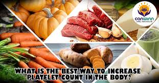 You get your platelet number from a routine blood test called a complete blood count (cbc). What Is The Best Way To Increase Platelet Count In The Body