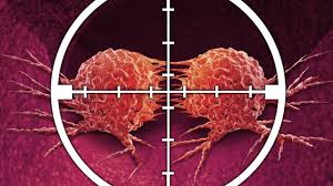 There are four main types of thyroid cancer. Targeting Thyroid Cancer With Triple Threat Drug Combo Technology Networks