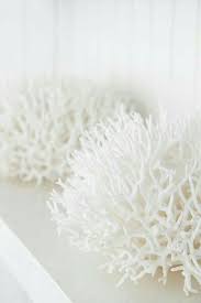Pin By Julie Hassall On Color Blanco White Coral Shades Of White Simply White
