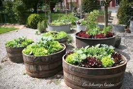 Liebe Spatzen Wir Mussen Reden In 2020 Ein Schweizer Garten Weinfass Garten Pflanzen