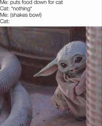 Pin By Danielthemancusi On Baby Yoda Yoda Meme Yoda Funny Star Wars Memes