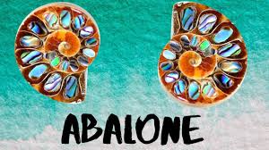 Microscopic calcium carbonate builds up like bricks and is stuck together by protein layers. Abalone Facts Healing Properties History And Myths Gemexi