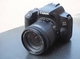 Eos m and eos r full frame mirrorless ranges deliver the power of dslr in the body of a compact camera. Canon Eos 250d Sample Photos Ephotozine