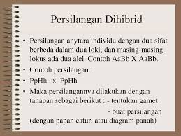 Sifat keriting ditentukan oleh gen k dan bersifat dominan terhadap sifat rambut lurus yang ditentukan oleh gen k. Persilangan Monohibrid Dan Dihbrid Ppt Download