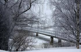 Summer in finland is a time spent outside the house enjoying the short but sweet season, and all worries are postponed until nights get dark again. 20 Mesmerizing Winter Wonderland Photos Of Finland