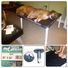 Diy Pet Loft Bed Elevated Dog Bed Diy Elevated Dog Bed Diy Pet Bed