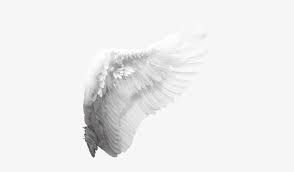 Also look at these photoshop angel wings template, angel wings and angel wings psd template to get more design file about psd. Google Search Angel Wings Png Tumblr Png Overlays Angel Wings Png Png Image Transparent Png Free Download On Seekpng