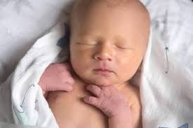 Fundraiser for Timothy Brach by Sarah Evans : The Brach Family