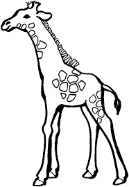 These alphabet coloring sheets will help little ones identify uppercase and lowercase versions of each letter. Download Baby Giraffe Free Coloring Pages Of Animals Or Print Baby Coloring Library