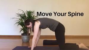 The Benefits Of Moving The Spine In Six Directions A Practice To Explore Melissa Hurt Gentle Yoga Yoga Asanas Moving