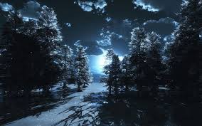 Este live wallpaper se basa en animaciones de distintos patrones en este fondo de pantalla animado nos hace viajar a un mundo de papel, en el que los diferentes elementos se irán moviendo, creando un. Fotografia De Noche Fotos Del Cielo Nocturno Bosque De Noche Fondos De Pantalla Bosques