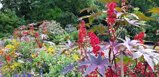 Zu Besuch Im Botanischen Garten In Augsburg Bayerisch Schwaben Blog