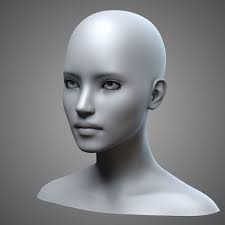 Female Heads Collection Female Head 3d Model 3d Model Character