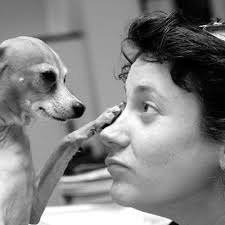 No-Kill Shelter Riverdale, Bronx, NY