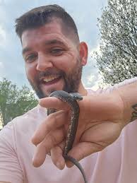 Black Rat Snake I think..Milton, GA.