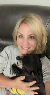 Lf Chihuahua swap for American Bully