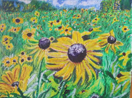A series of flower drawings created for the 2019 inktober challenge! Field Of Flowers In Oil Pastel Live To Create Pastels