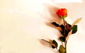 We did not find results for: ØºÙŠØ§Ø¨ Ù…Ø¶Ø§Ø¹ÙØ§Øª ØµØ±Ø§Ø­Ø© Ø®Ù„ÙÙŠØ§Øª ÙŠÙƒØªØ¨ Ø¹Ù„ÙŠÙ‡Ø§ Ø§Ù„ÙØµÙ„ Ø§Ù„Ø«Ø§Ù†ÙŠ Guillotinpoilvet Com