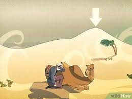 Several adaptations help a camel live in a desert. 3 Ways To Survive A Dust Storm Or Sandstorm Wikihow