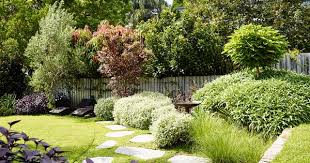 1 plants convert carbon dioxide and water into carbohydrates. 10 Trees To Plant In Backyards Big Or Small Homes To Love