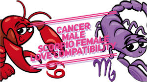 When a cancer woman and a scorpio man meet, they feel that they finally found someone who will listen and understand them. Cancer Male Scorpio Female Relationship Challenges Youtube